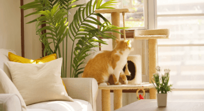 Aosom Multi-Cat Stability Cat Tree